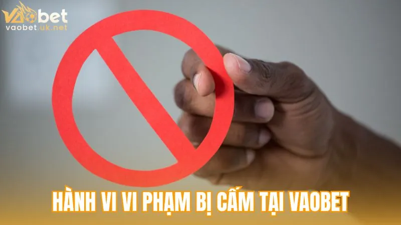 Các hành vi vi phạm bị cấm trong quy định tại Vaobet