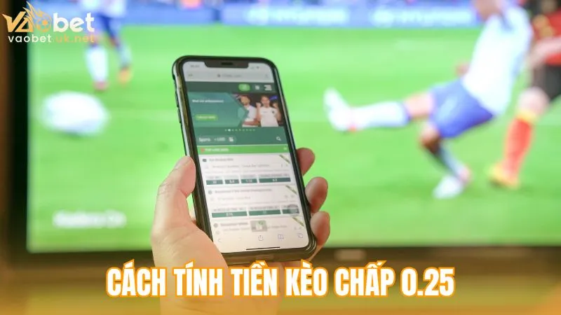 Cách tính tiền kèo chấp 0.25 giúp người chơi dễ kiểm soát