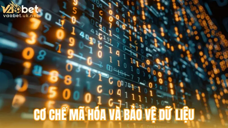 Chính sách bảo mật vaobet -Cơ chế mã hóa và bảo vệ dữ liệu