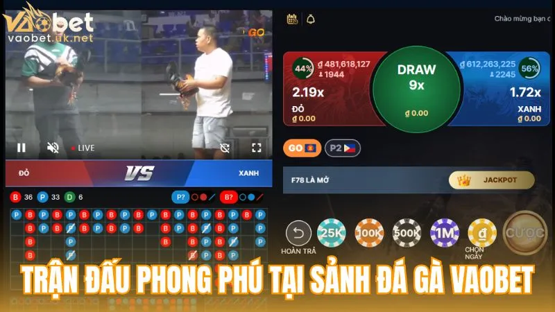 Danh mục trận đấu phong phú tại sảnh ĐÁ GÀ Vaobet