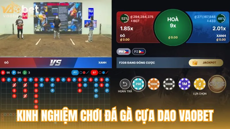 Kinh nghiệm chơi Đá gà cựa dao Vaobet hiệu quả