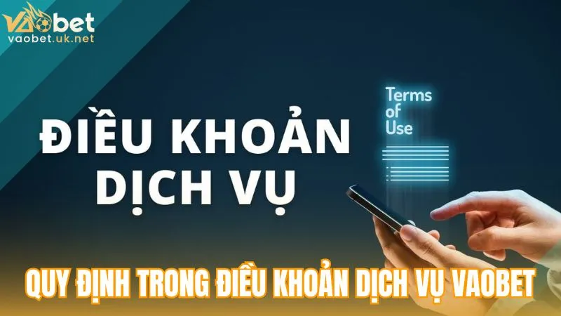 Nền tảng quy định chung trong Điều khoản dịch vụ tại Vaobet