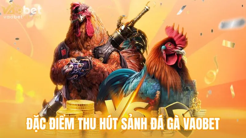 Những đặc điểm giúp sảnh Đá Gà Vaobet tạo sức hút mạnh
