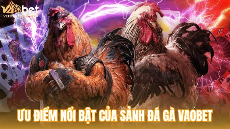 Những ưu điểm tạo nên vị thế đặc biệt của sảnh ĐÁ GÀ Vaobet