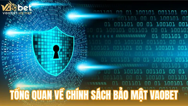 Tổng quan về chính sách bảo mật tại Vaobet