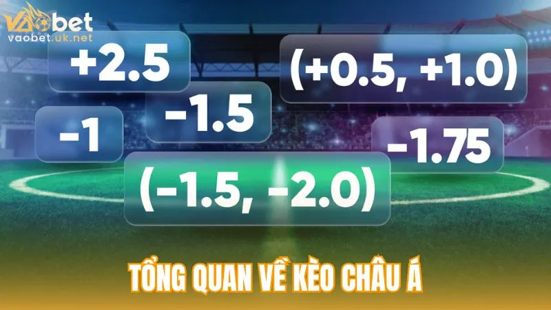Tổng quan về kèo châu Á và cách thức hoạt động