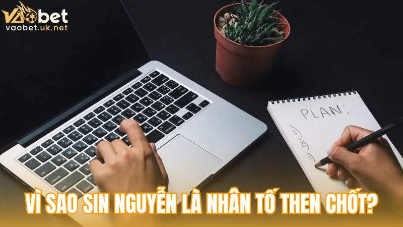 Vì sao Sin Nguyễn được xem là nhân tố quan trọng trong hệ thống nội dung?